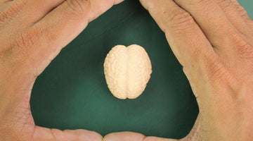 9 Ways to Protect Your Brain at Every Age