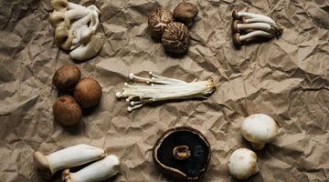 Discover the Benefits of Five Healing Medicinal Mushrooms