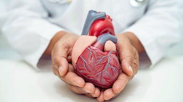 Could Your Kidneys Predict Heart Disease?
