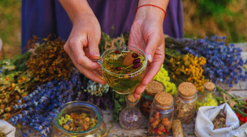 Three Everyday Extracts & Herbs That Prevent Cancer
